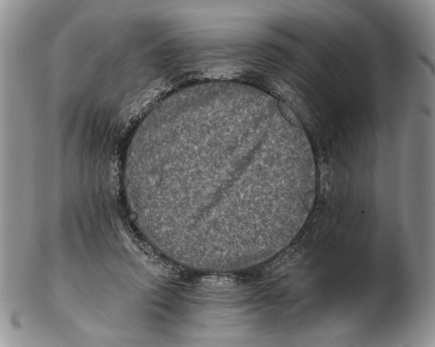 X0000102240354200808221335