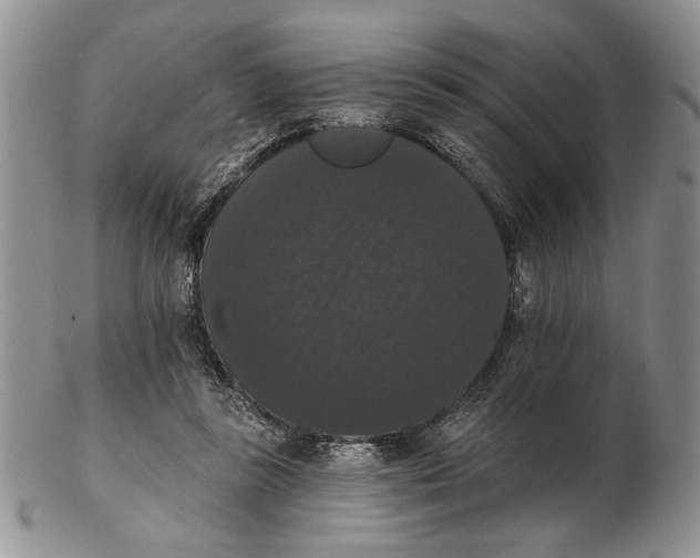 X0000102240355200808221335