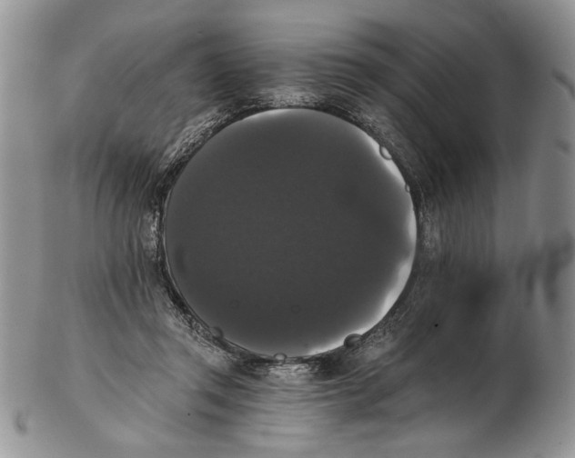 X0000102240357200808221335