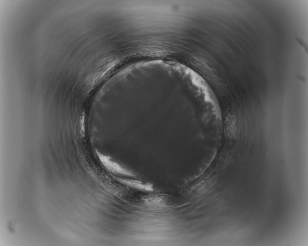 X0000102240358200808221335