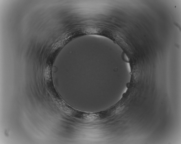 X0000102240359200808221335