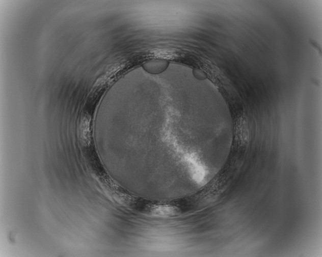 X0000102240360200808221335