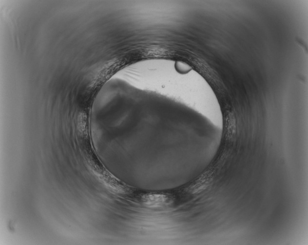 X0000102240361200808221336