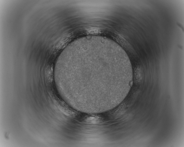 X0000102240364200808221336