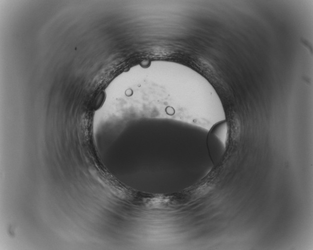 X0000102240366200808221336