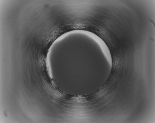 X0000102240367200808221336