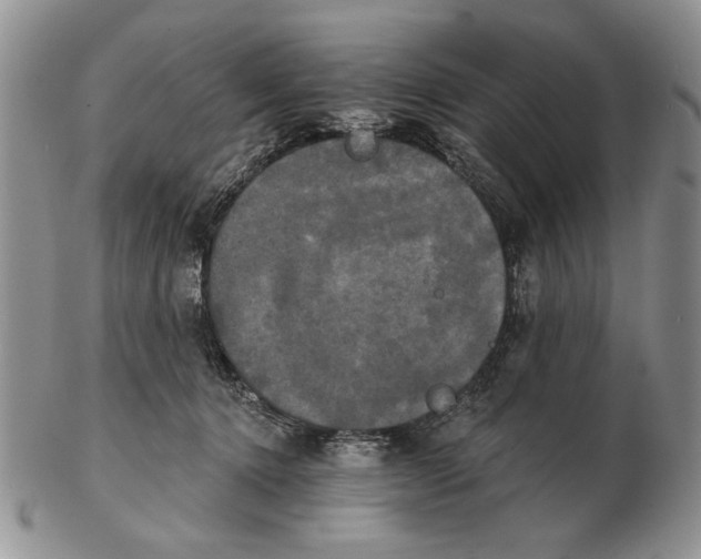 X0000102240368200808221336