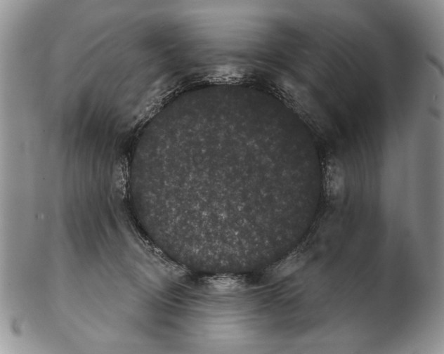 X0000102240370200808221336