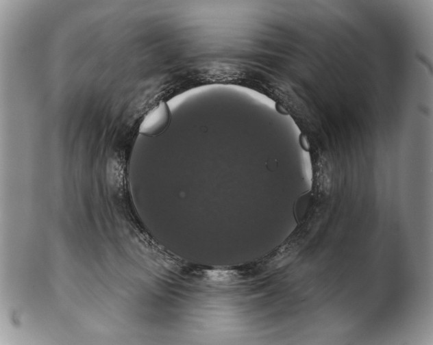 X0000102240371200808221336