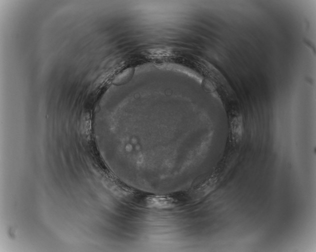 X0000102240372200808221336