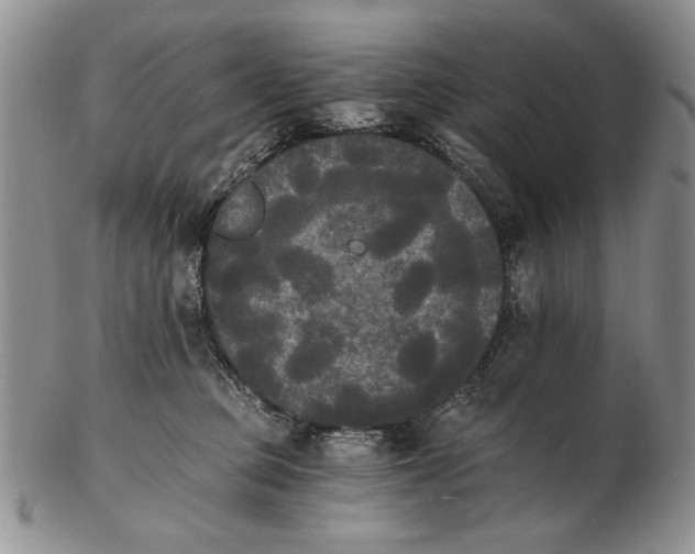 X0000102240373200808221336