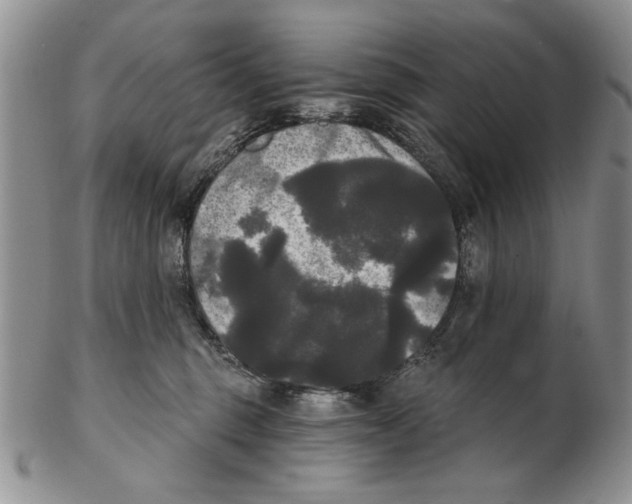 X0000102240375200808221336