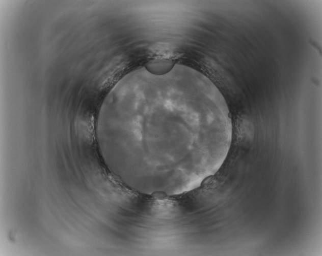 X0000102240376200808221336