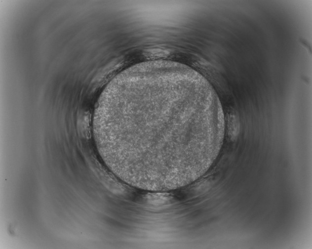 X0000102240378200808221336