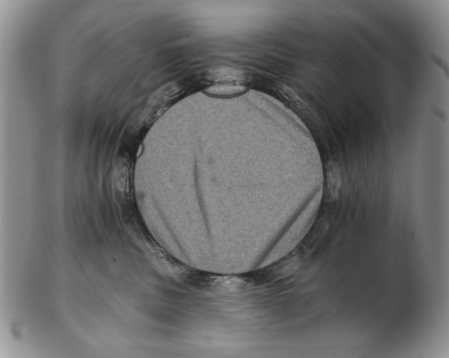 X0000102240379200808221336