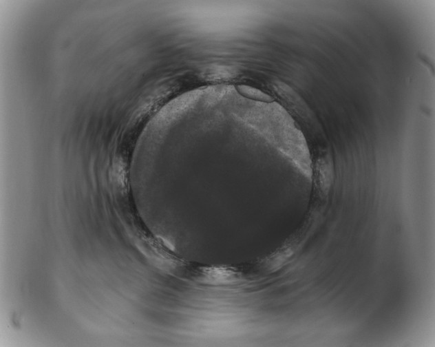 X0000102240380200808221336