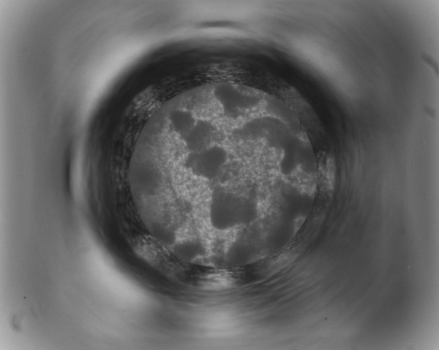 X0000102240381200808221336