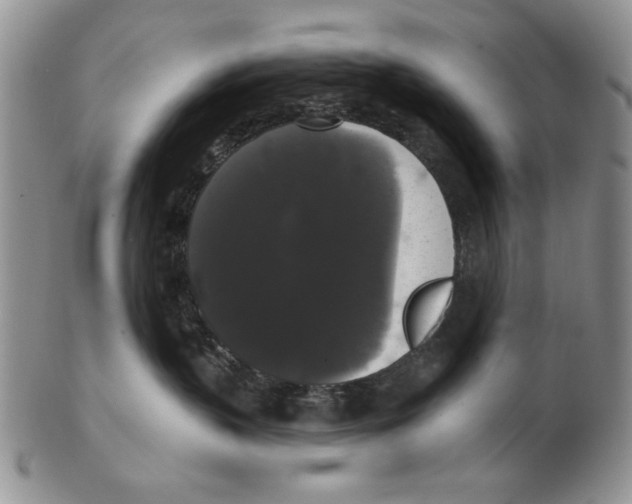 X0000102240383200808221336