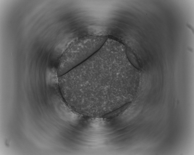 X0000102240384200808221336