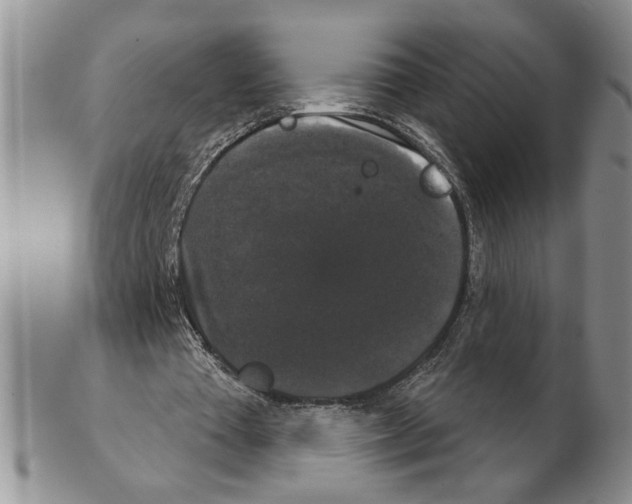 X0000102240385200808221335