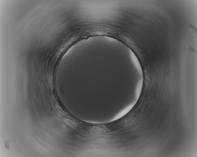 X0000102240386200808221335