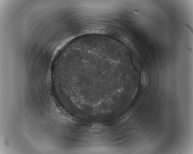 X0000102240388200808221335