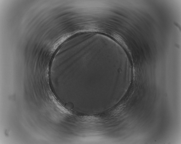 X0000102240389200808221335