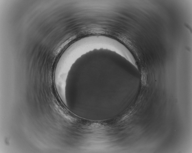 X0000102240390200808221335