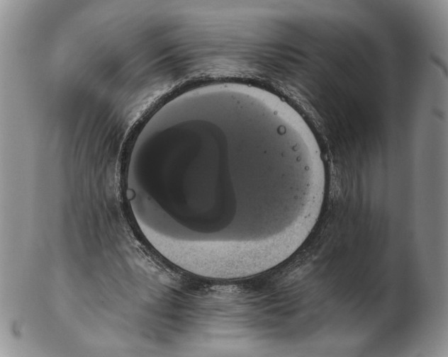 X0000102240391200808221335