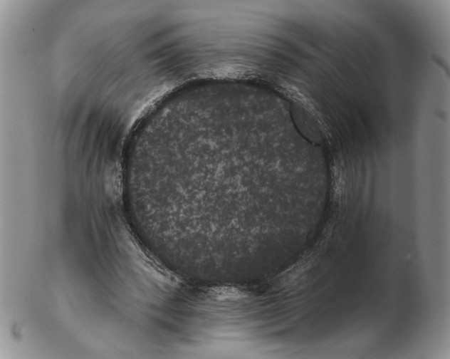 X0000102240392200808221335