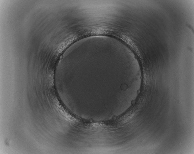 X0000102240393200808221335