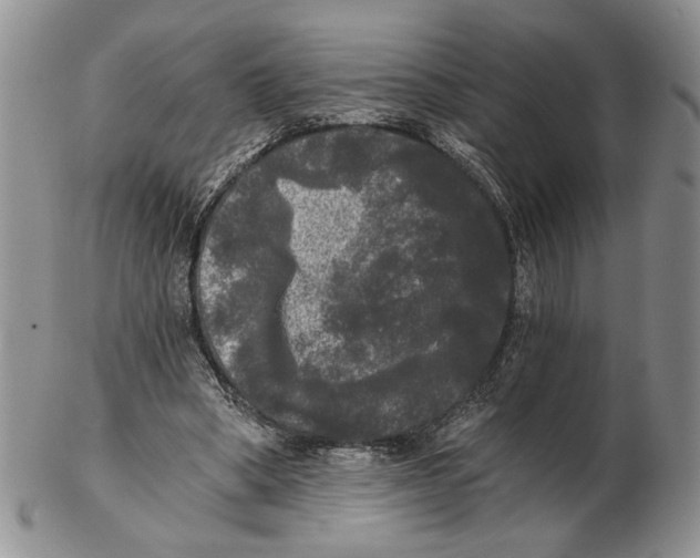 X0000102240394200808221335