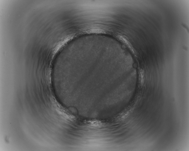 X0000102240395200808221335