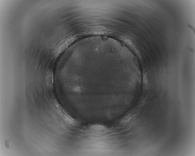 X0000102240397200808221335