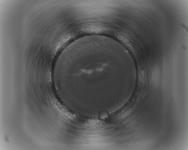 X0000102240399200808221335