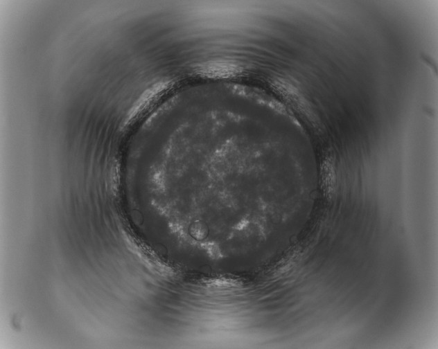 X0000102240400200808221335