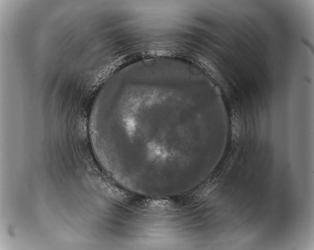 X0000102240401200808221335