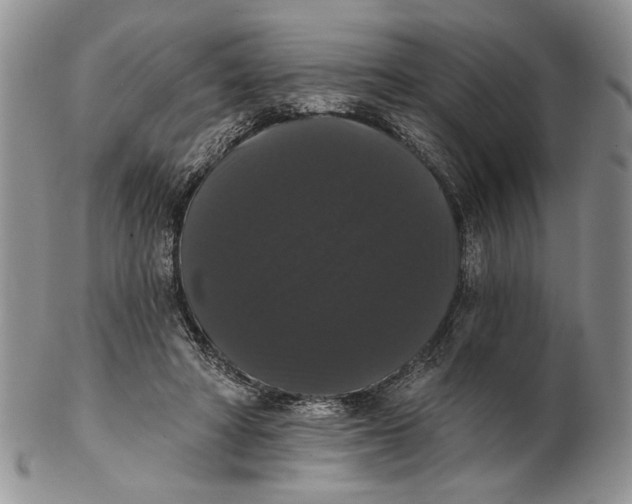 X0000102240402200808221335