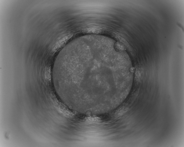 X0000102240403200808221335