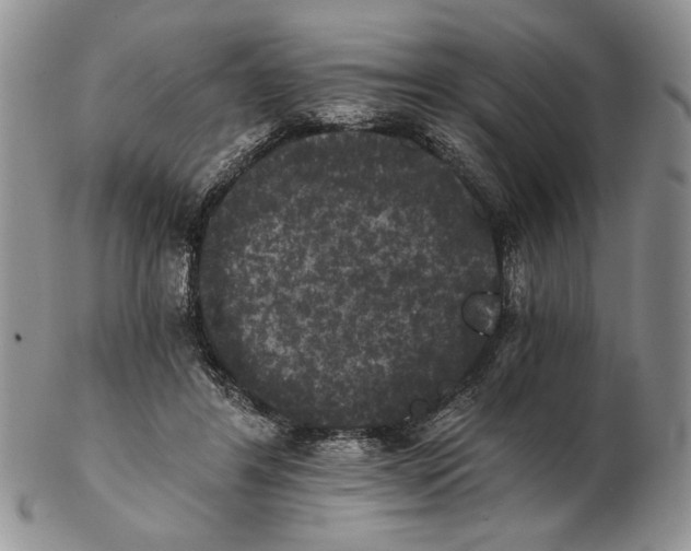 X0000102240404200808221335