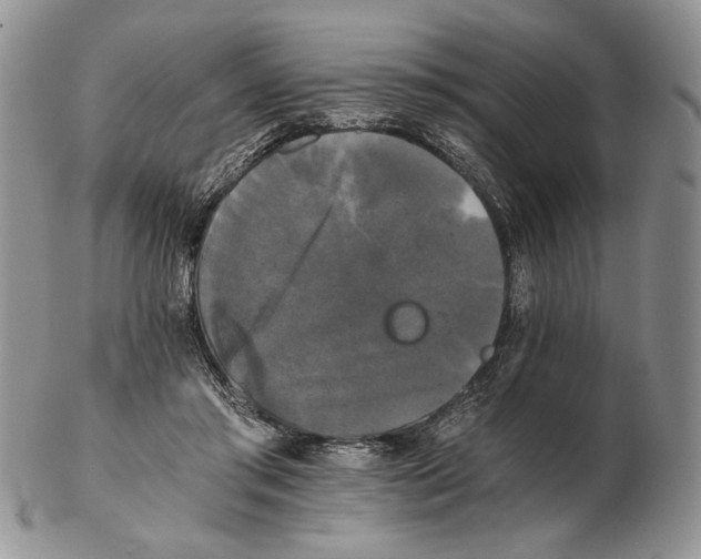 X0000102240405200808221335