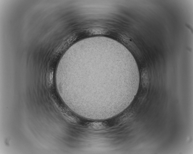 X0000102240406200808221335