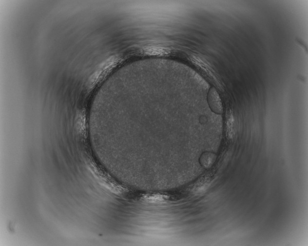 X0000102240407200808221335