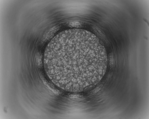 X0000102240408200808221335