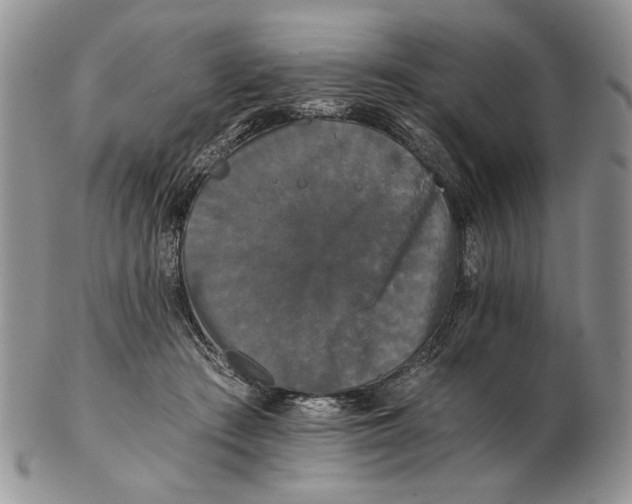 X0000102240409200808221335