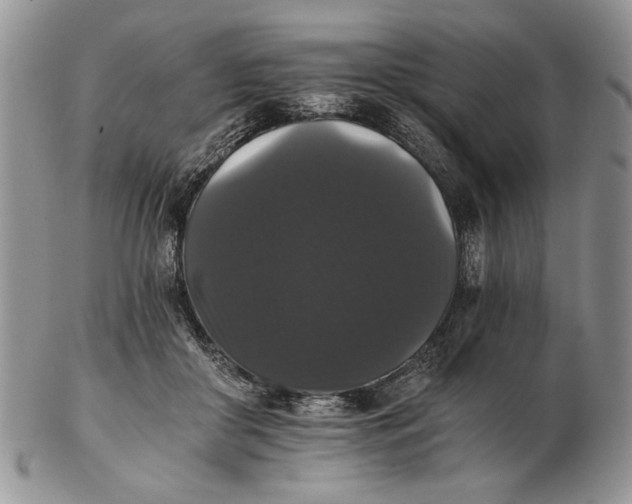 X0000102240410200808221335