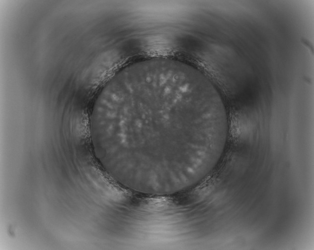 X0000102240411200808221335