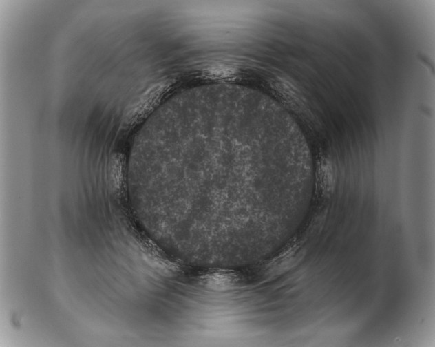 X0000102240412200808221335