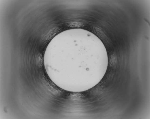 X0000102240414200808221335