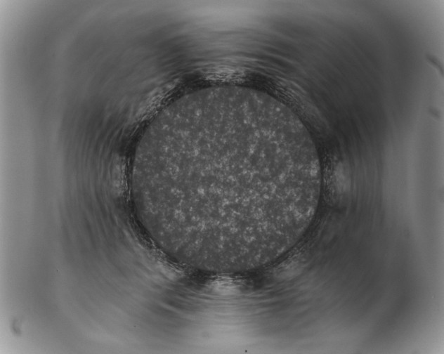 X0000102240416200808221335